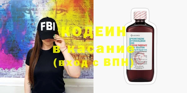 молекула духа Арсеньев