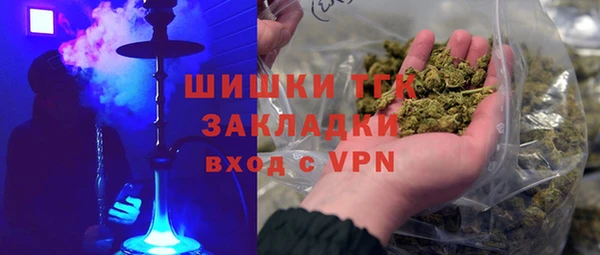 молекула духа Арсеньев