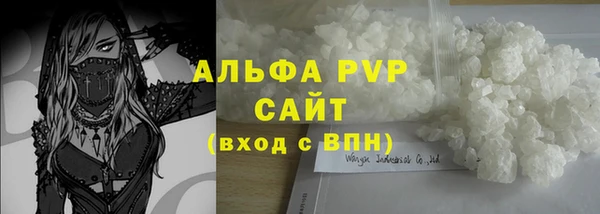 СК Аркадак