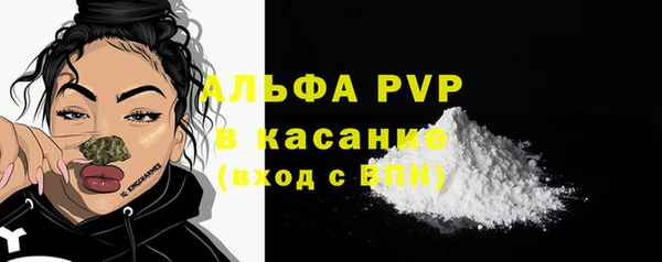 молекула духа Арсеньев