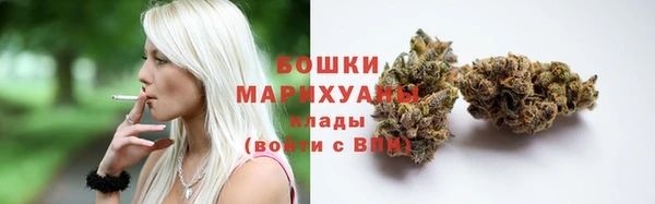 СК Аркадак