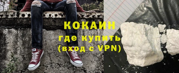 молекула духа Арсеньев