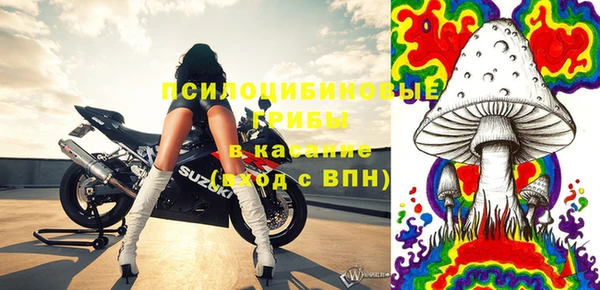 молекула духа Арсеньев