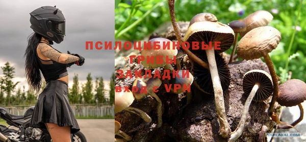 СК Аркадак
