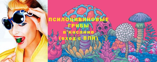 молекула духа Арсеньев