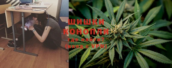 молекула духа Арсеньев